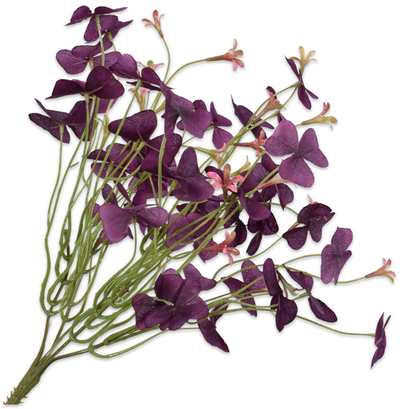 Silk-ka Flowers - Zijden plant