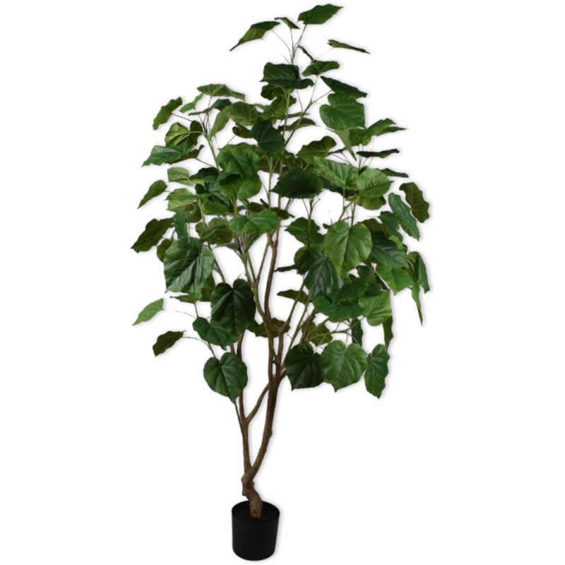 Silk-ka Flowers - Zijden plant - Ficus - Groen
