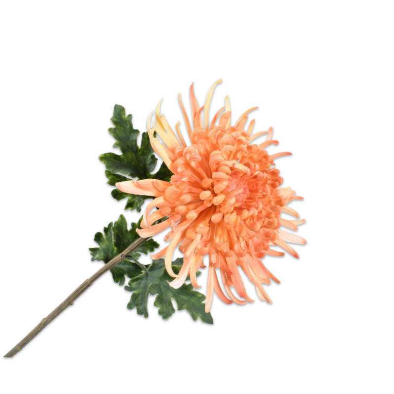 Silk-ka Flowers - Zijden bloem - Chrysant steel - Oranje