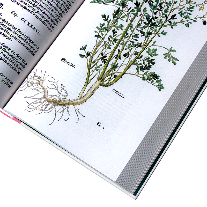 The New Herbal - Koffietafelboek