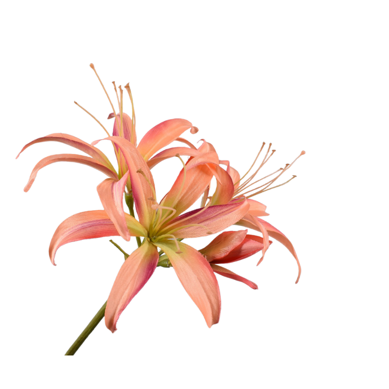 Silk-ka Flowers - Zijden bloem - Amaryllis steel - Oranje