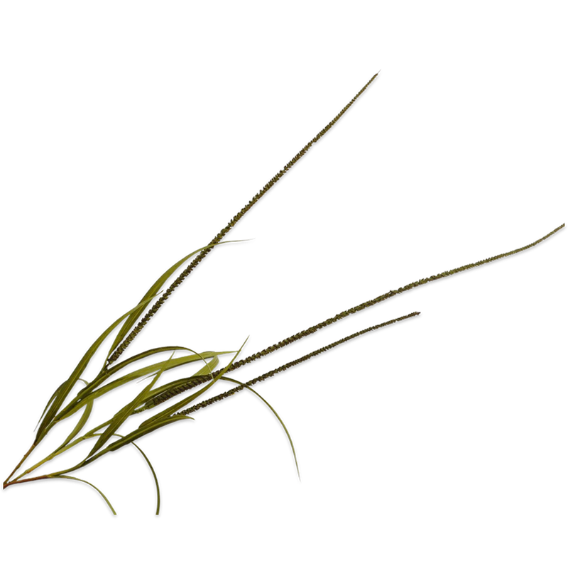 Silk-ka Flowers - Zijden gras tak - Groen