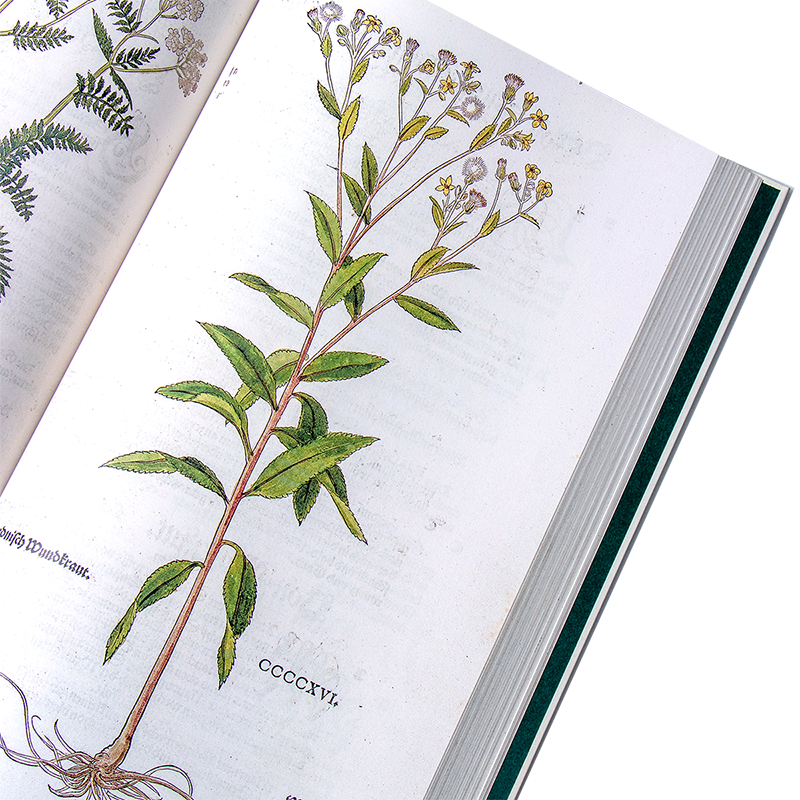 The new herbal - XL Boek