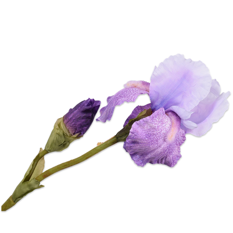 Zijden bloem Iris