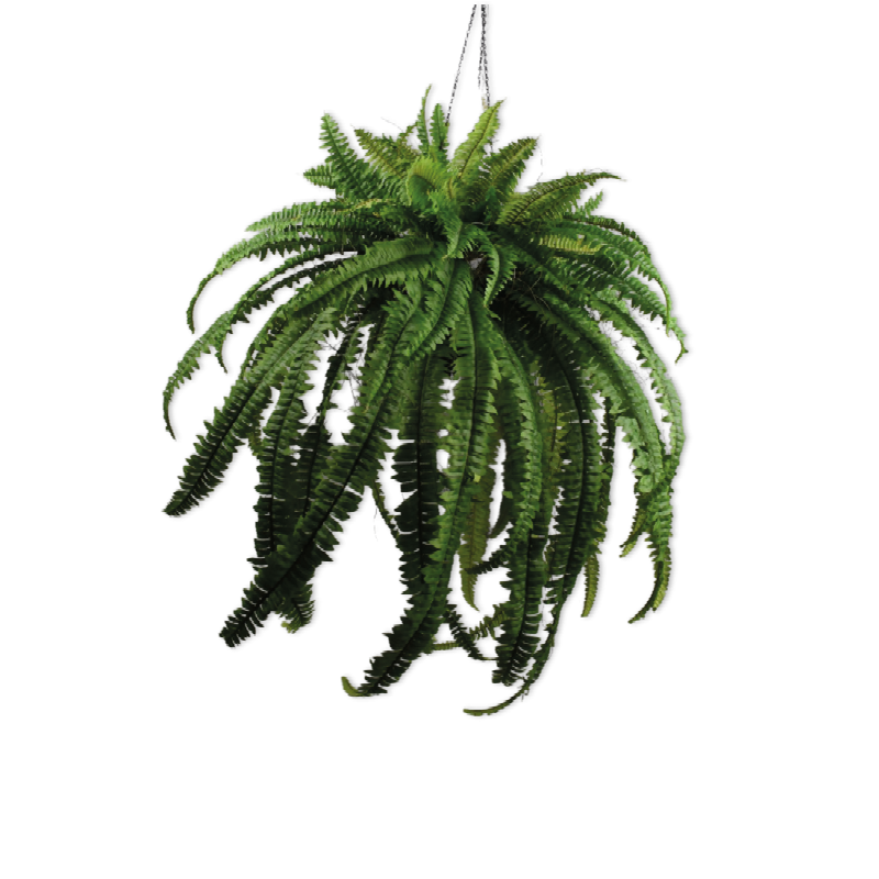 Silk-ka Flowers - Zijden hangplant - Varen - Groen