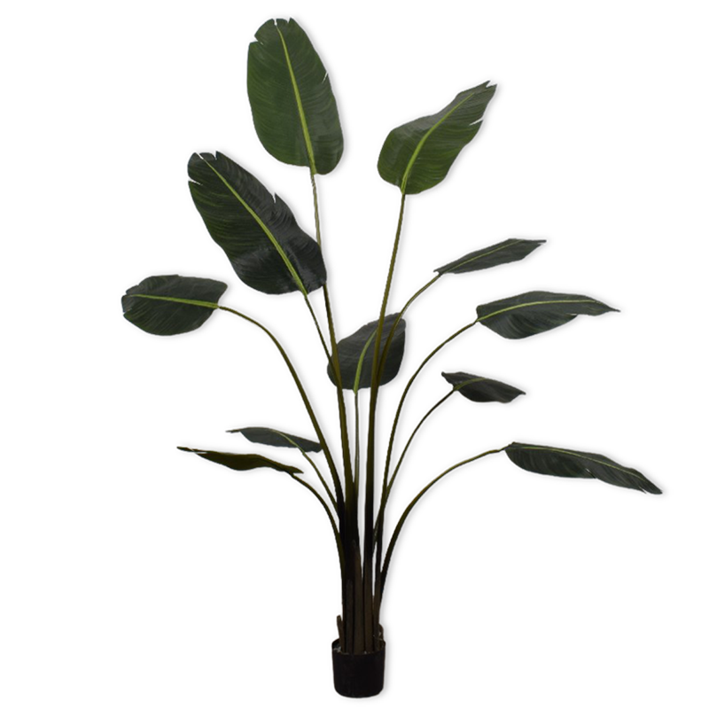Silk-ka Flowers - Zijden plant - Strelitzia - Groen