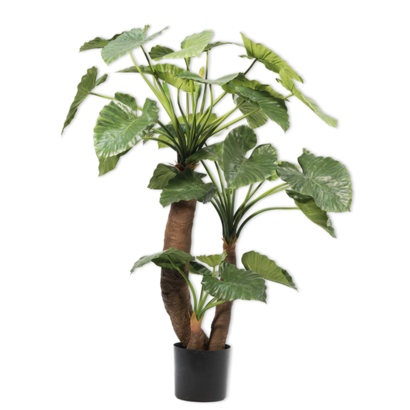 Silk-ka Flowers - Zijden plant - Alocasia - Groen