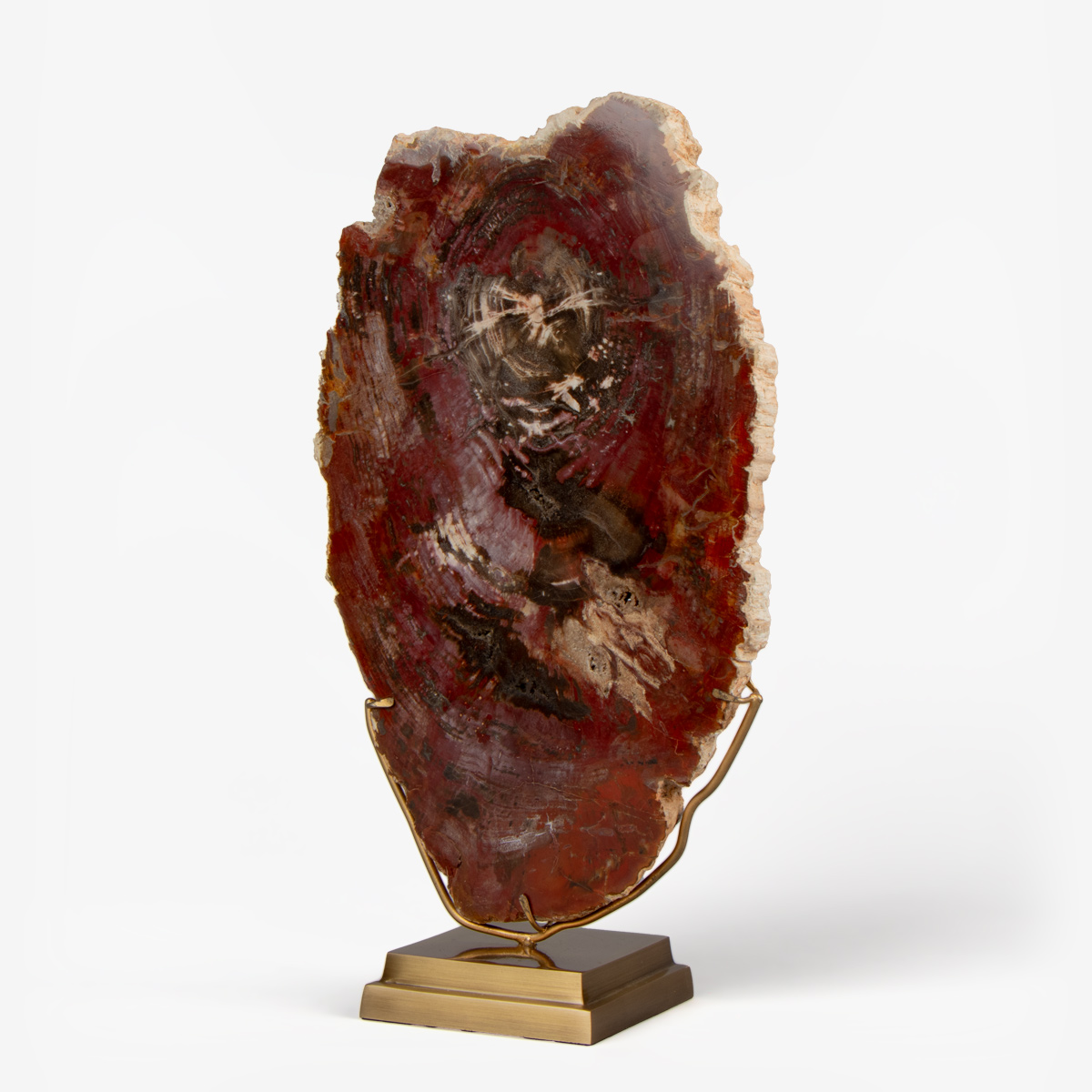 odc fossil wood op messing voet 6561 2