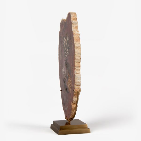 odc fossil wood op messing voet 6561 3
