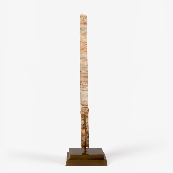 odc fossil wood op messing voet 6561 4