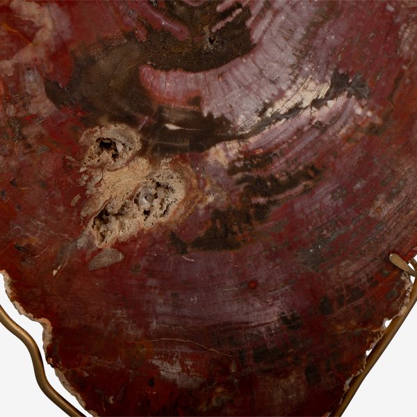 odc fossil wood op messing voet 6561 5