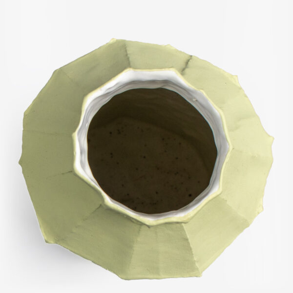 vaas fide corteccia