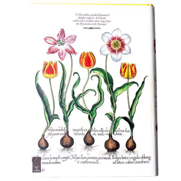gardeneden2