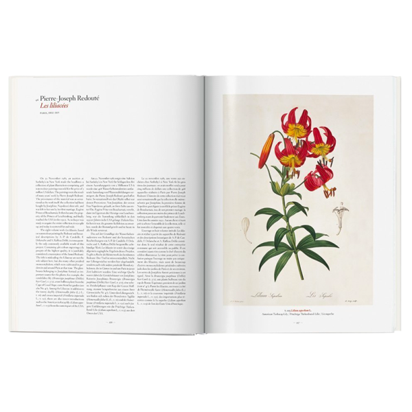 gardeneden7