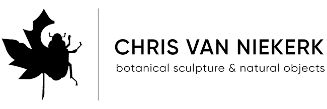 chris van niekerk