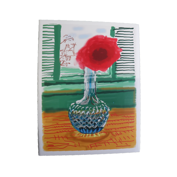 david hockney back