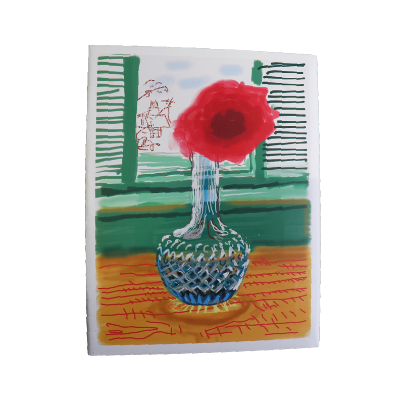 david hockney back