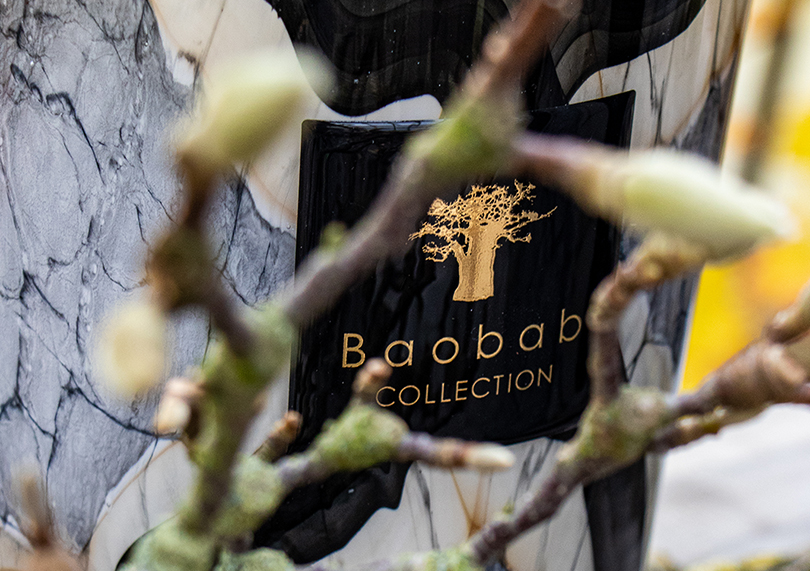 merkafbeelding baobab