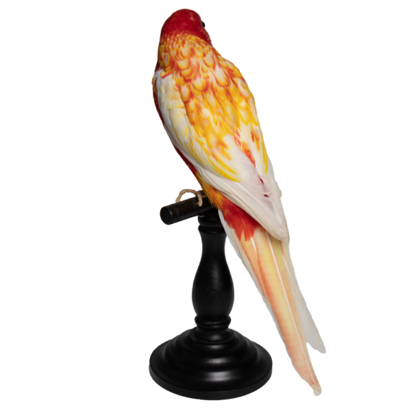 vogeltje 2