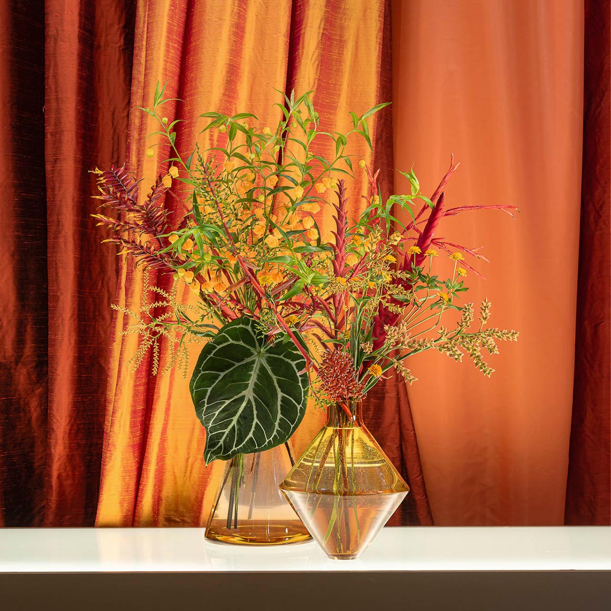 vaas the prox champagne