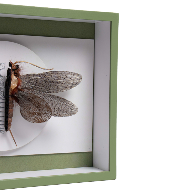 libelle 1