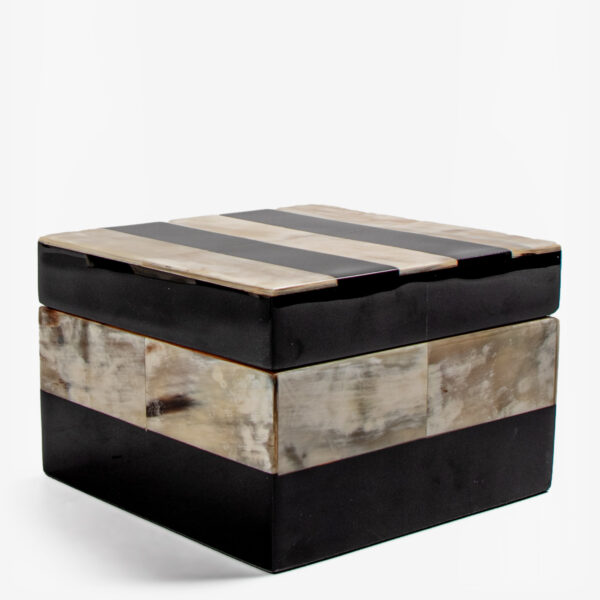 abhika box horn stripes 33698 2