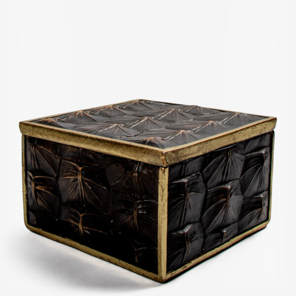 abhika box turtle 33582 2