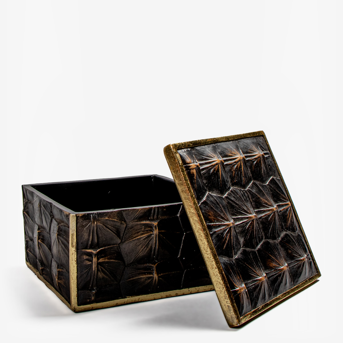 abhika box turtle 33582 3