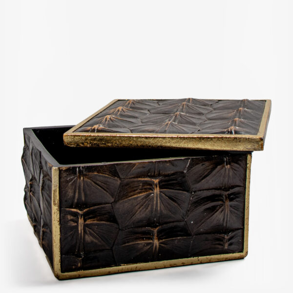 abhika box turtle 33582 4