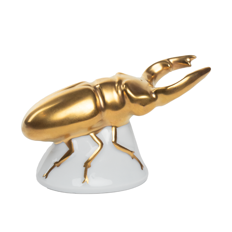 porselein kever goud beeld cover