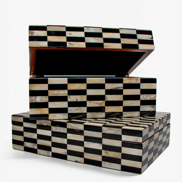 sfeerbeeld horn chess
