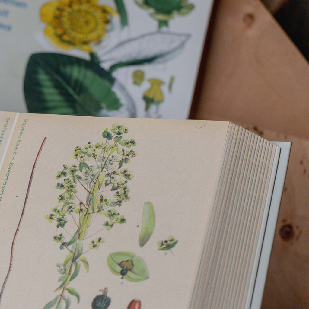 subcategorie foto botanisch