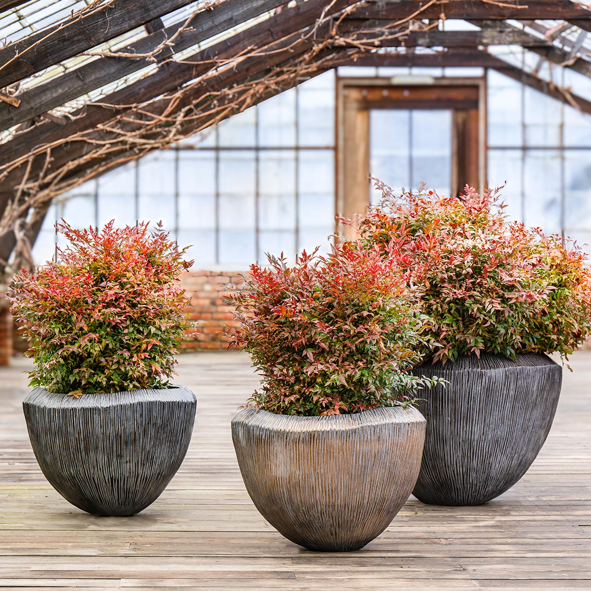 pot atlantis tapo78 black metallic