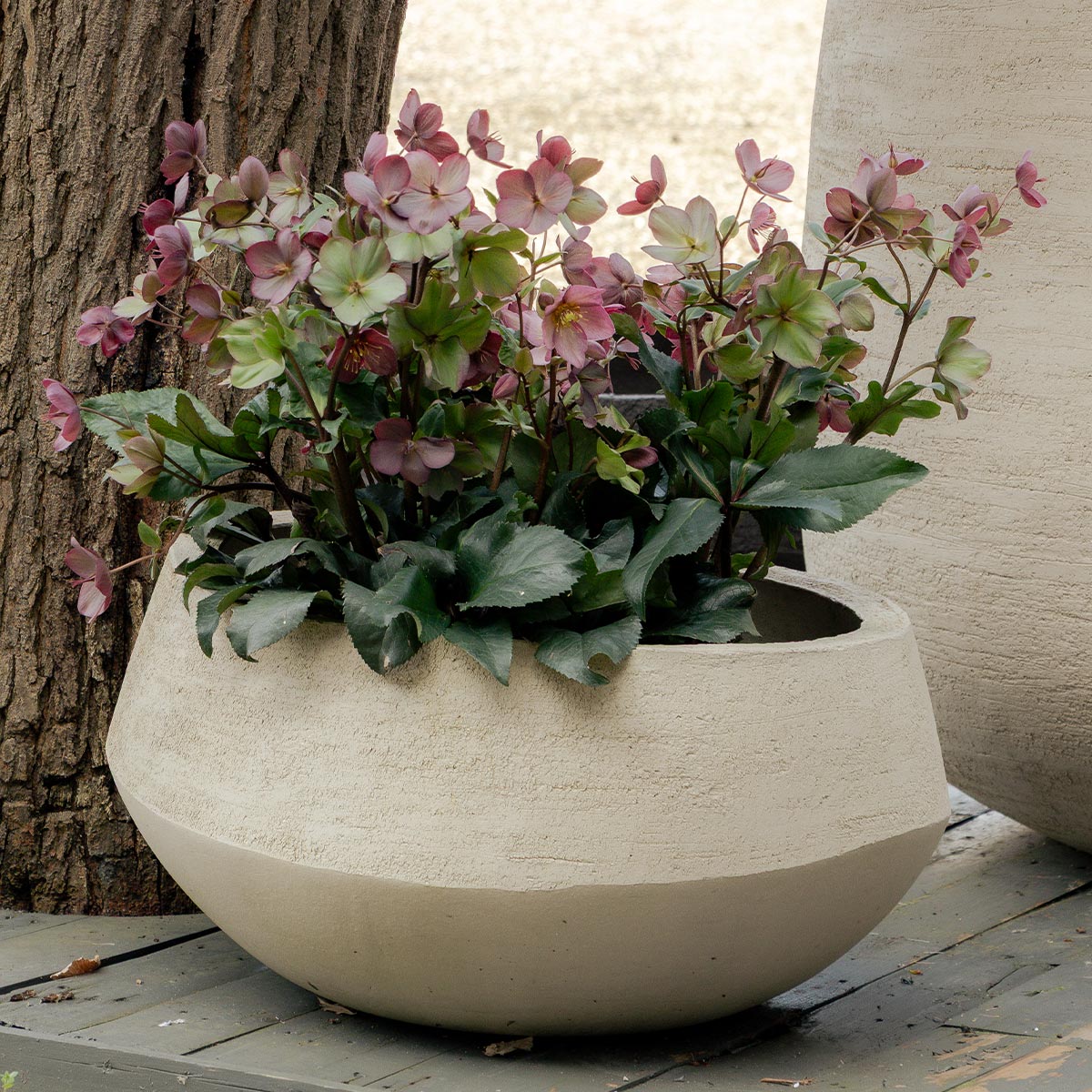 pot graz tgzp120 natural white