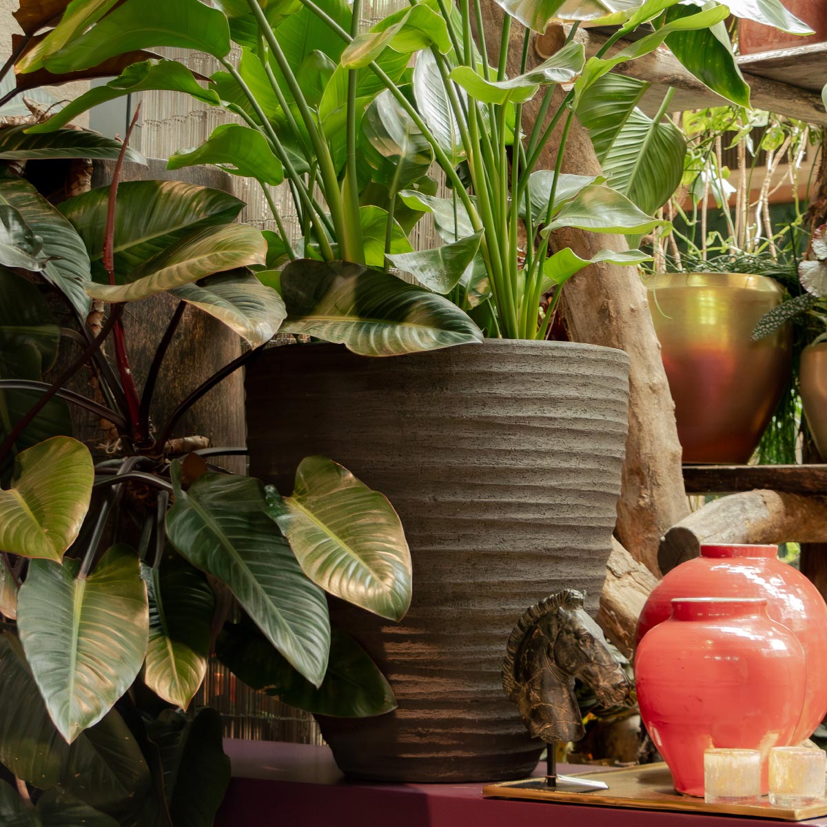 pot dala tdp75 natural black