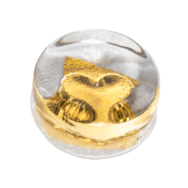 studio comploj hart 24k goud bladgoud 3