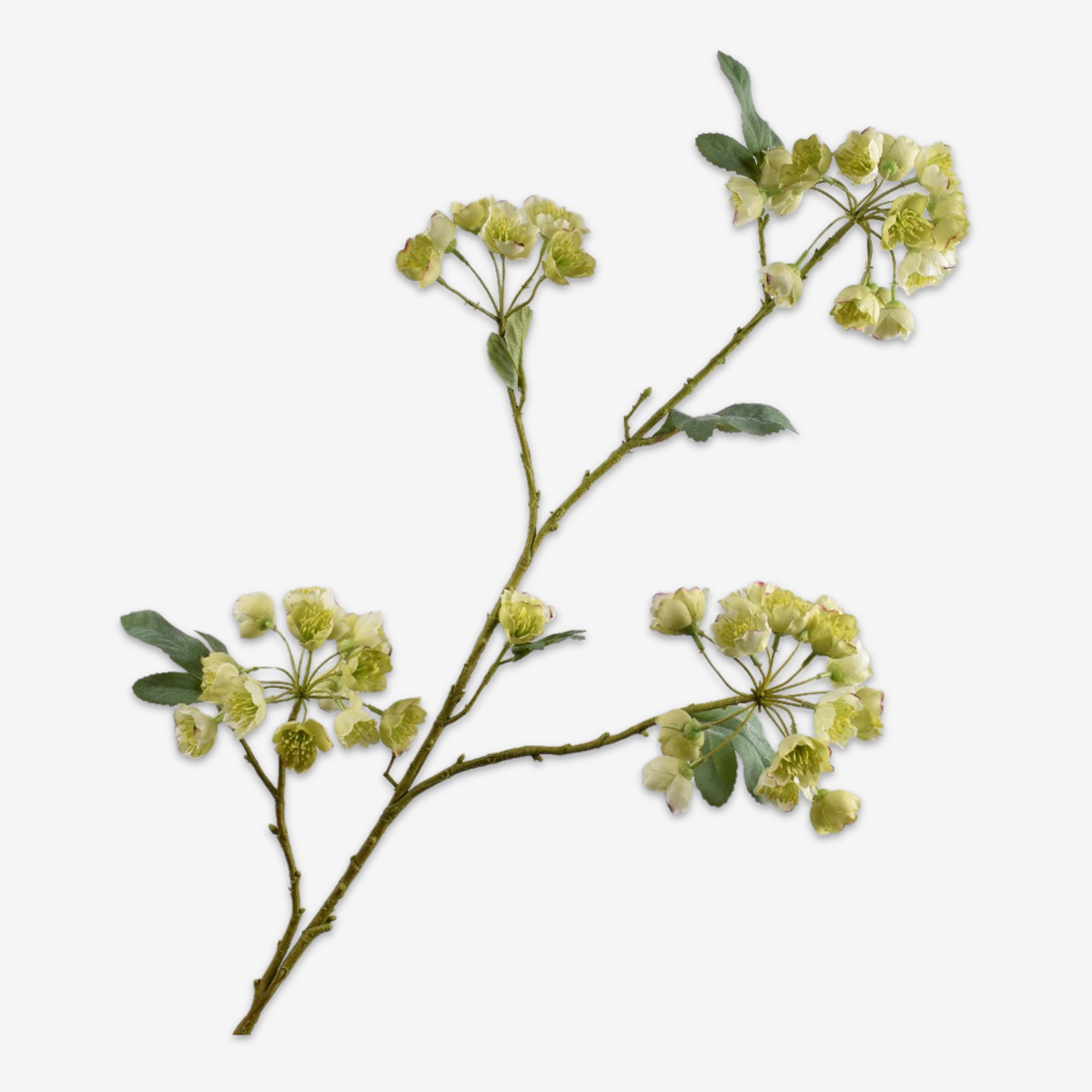 zijden bloem helleborus groen