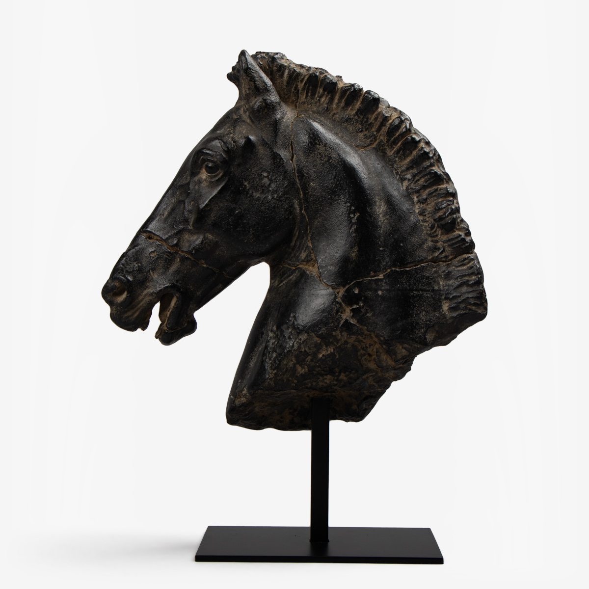 paardenhoofd op metalen standaard