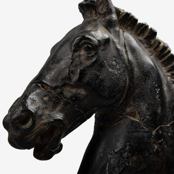 paardenhoofd op metalen standaard