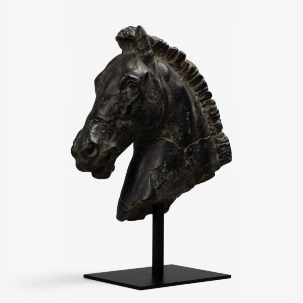 paardenhoofd op metalen standaard