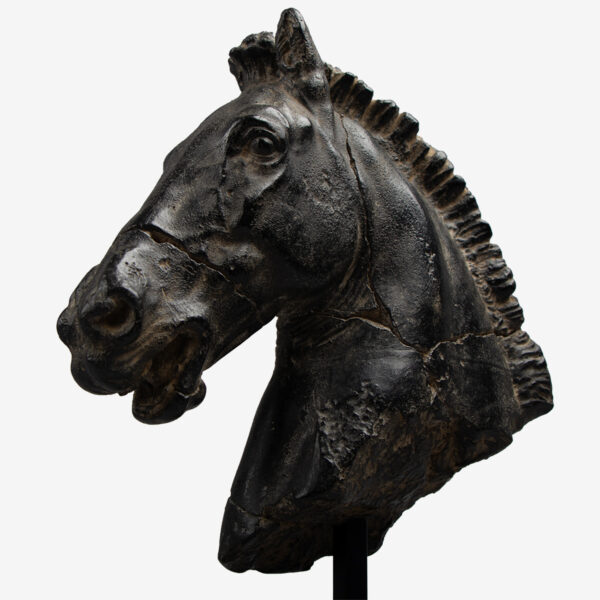 paardenhoofd op metalen standaard