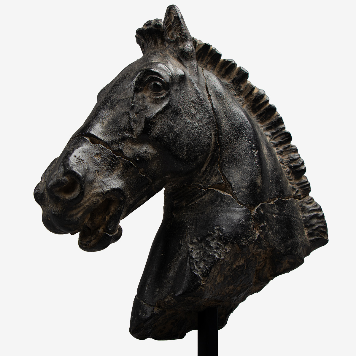 paardenhoofd op metalen standaard