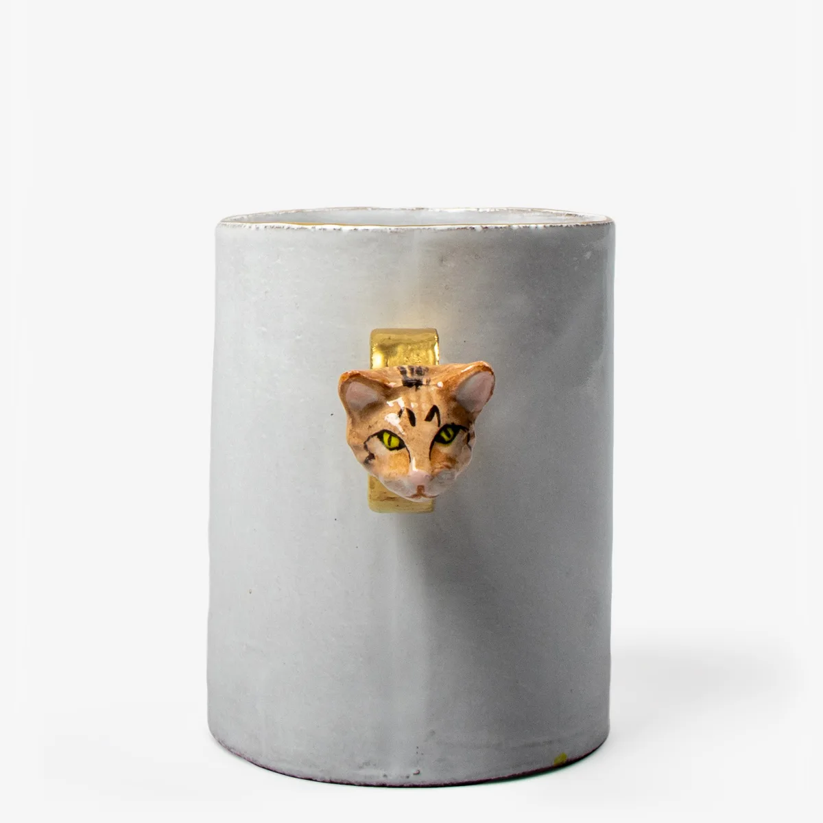 adv ringbeker tabby cat 15359 2