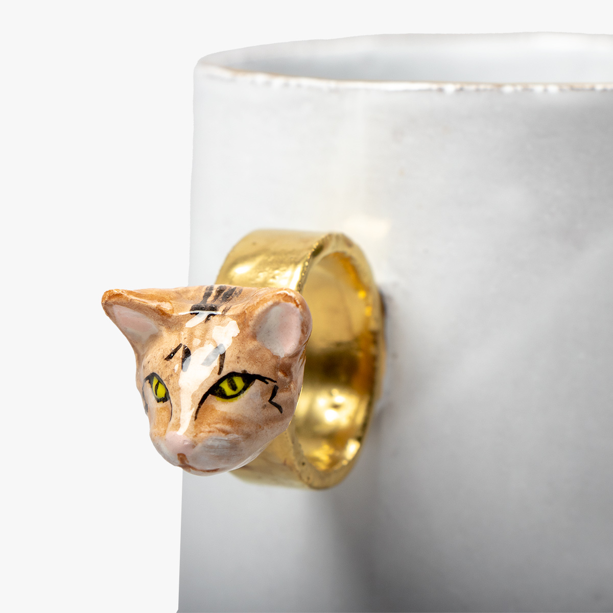 adv ringbeker tabby cat 15359 4