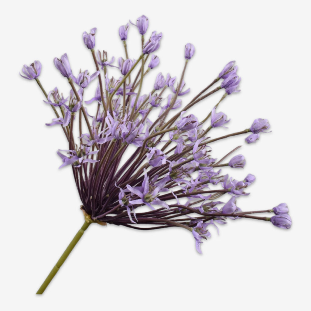 zijden bloem campanula blauw