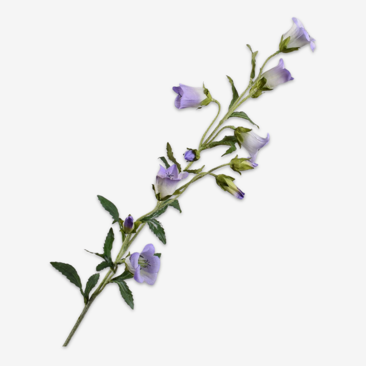 zijden bloem campanula blauw