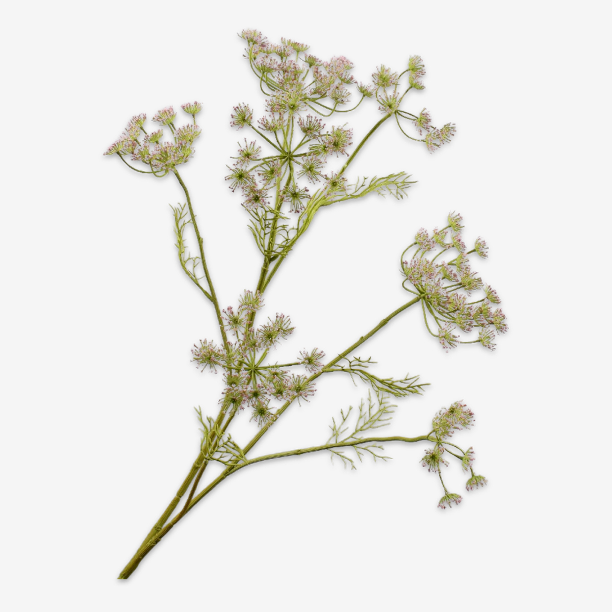 zijden bloem dille groen