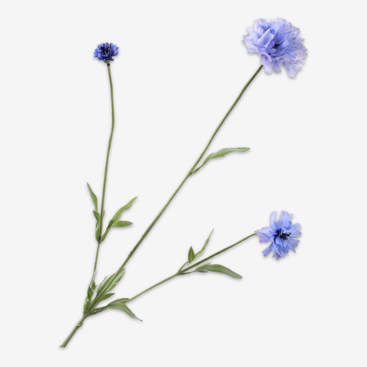 zijden bloem korenbloem blauw