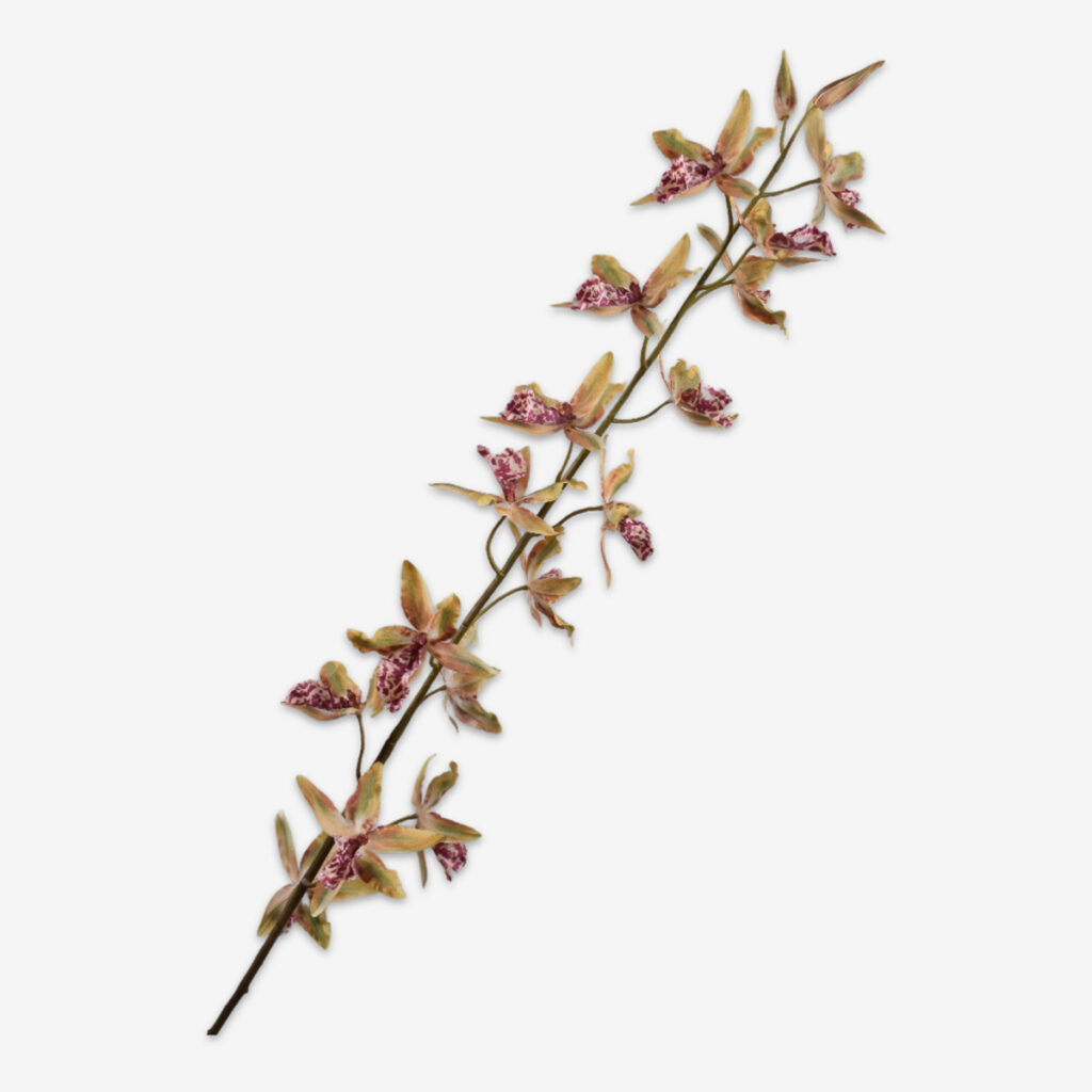 zijden bloem oncidium rood