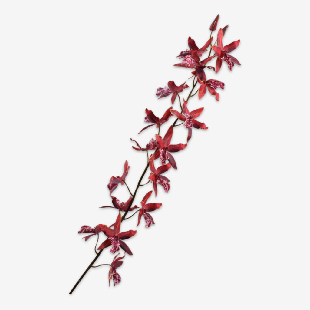 zijden bloem oncidium rood